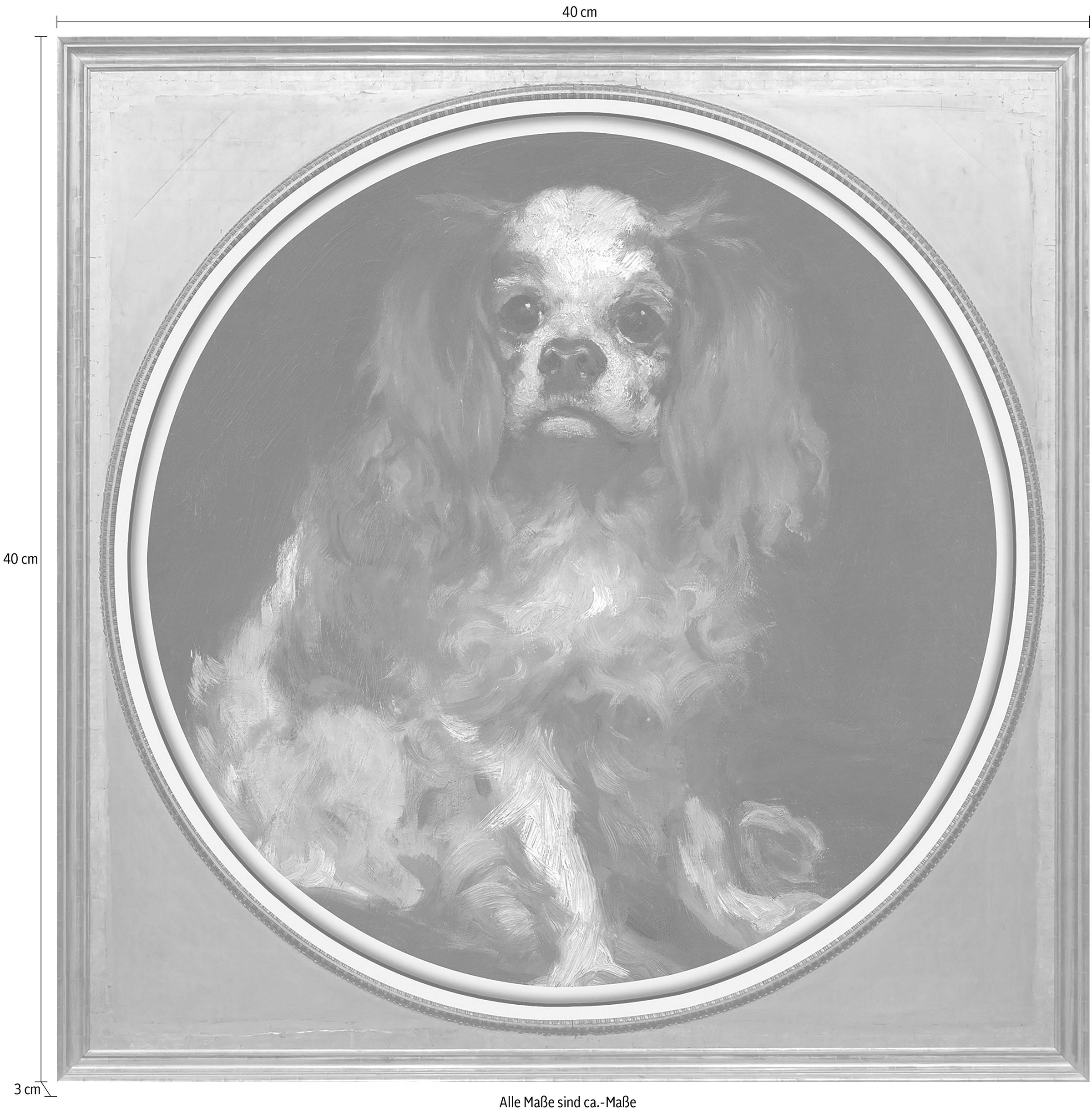 queence Acrylglasbild »Spaniel« Gemälde | Hund | Hunde | Hundebilder | Kunst | Tiere Fine Art-Print in Galeriequalität