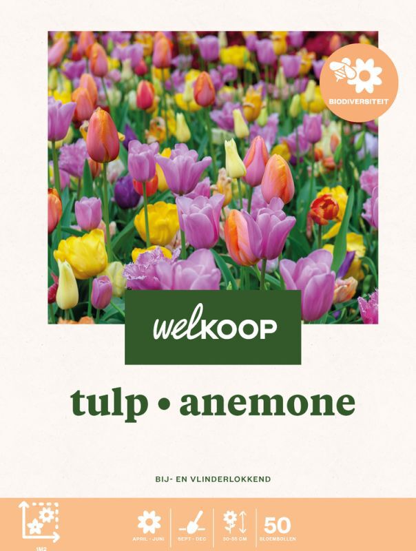 Welkoop Tulp Anemone - Biodiversiteit - Bloembollen