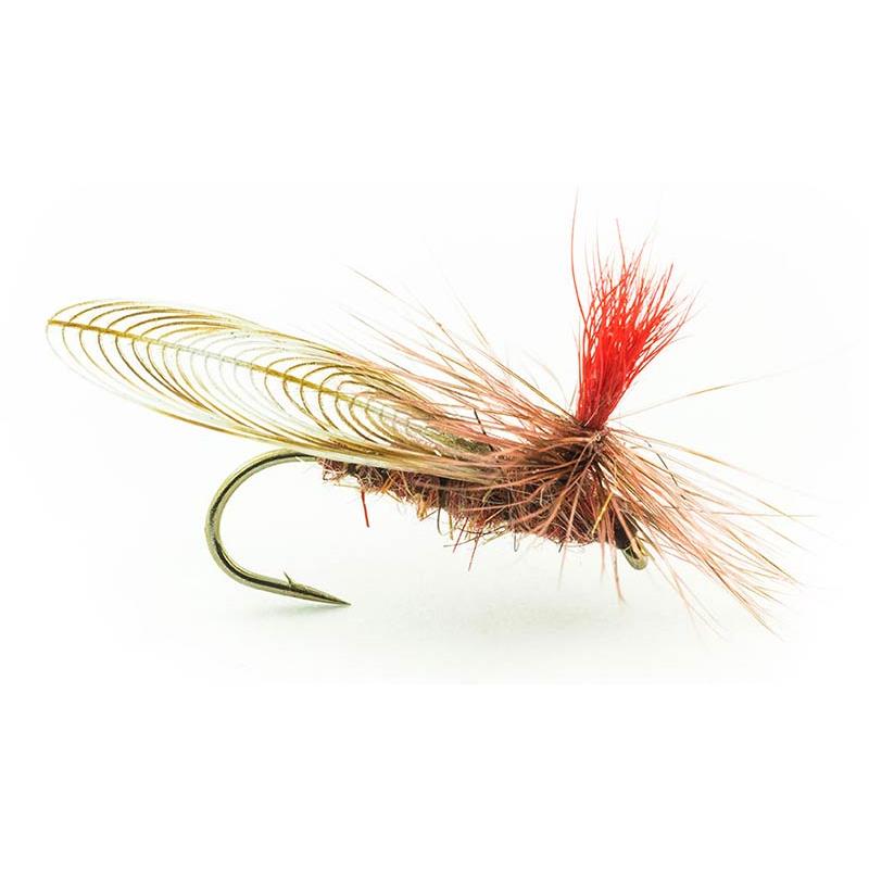 Mouche Devaux Sedge Parachute Gdc 06