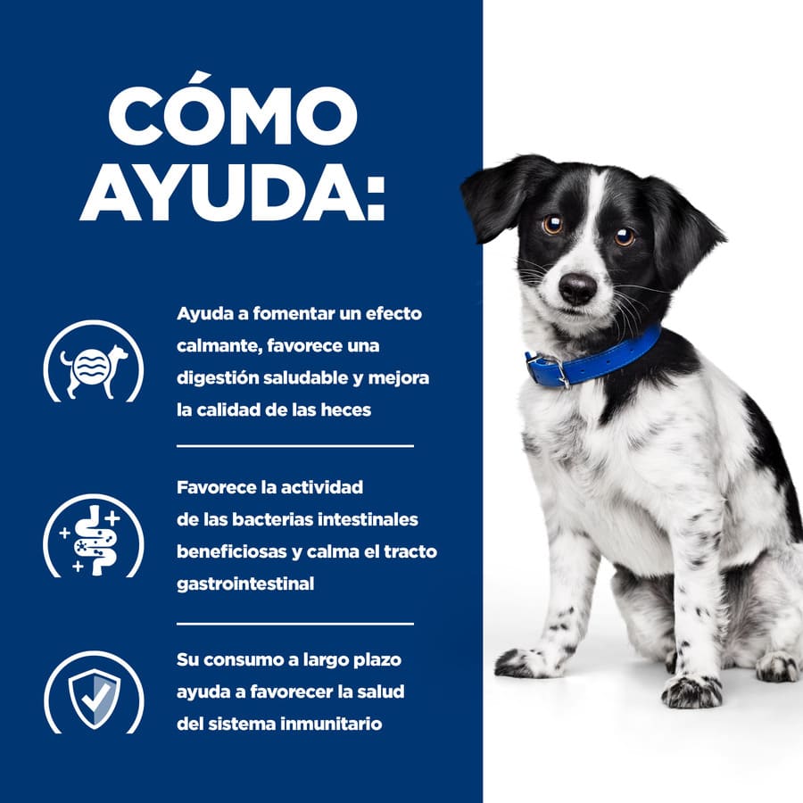 Hill's Prescription Diet Digestive Care i/d Dogs Ensopado de Frango e Vegetais
