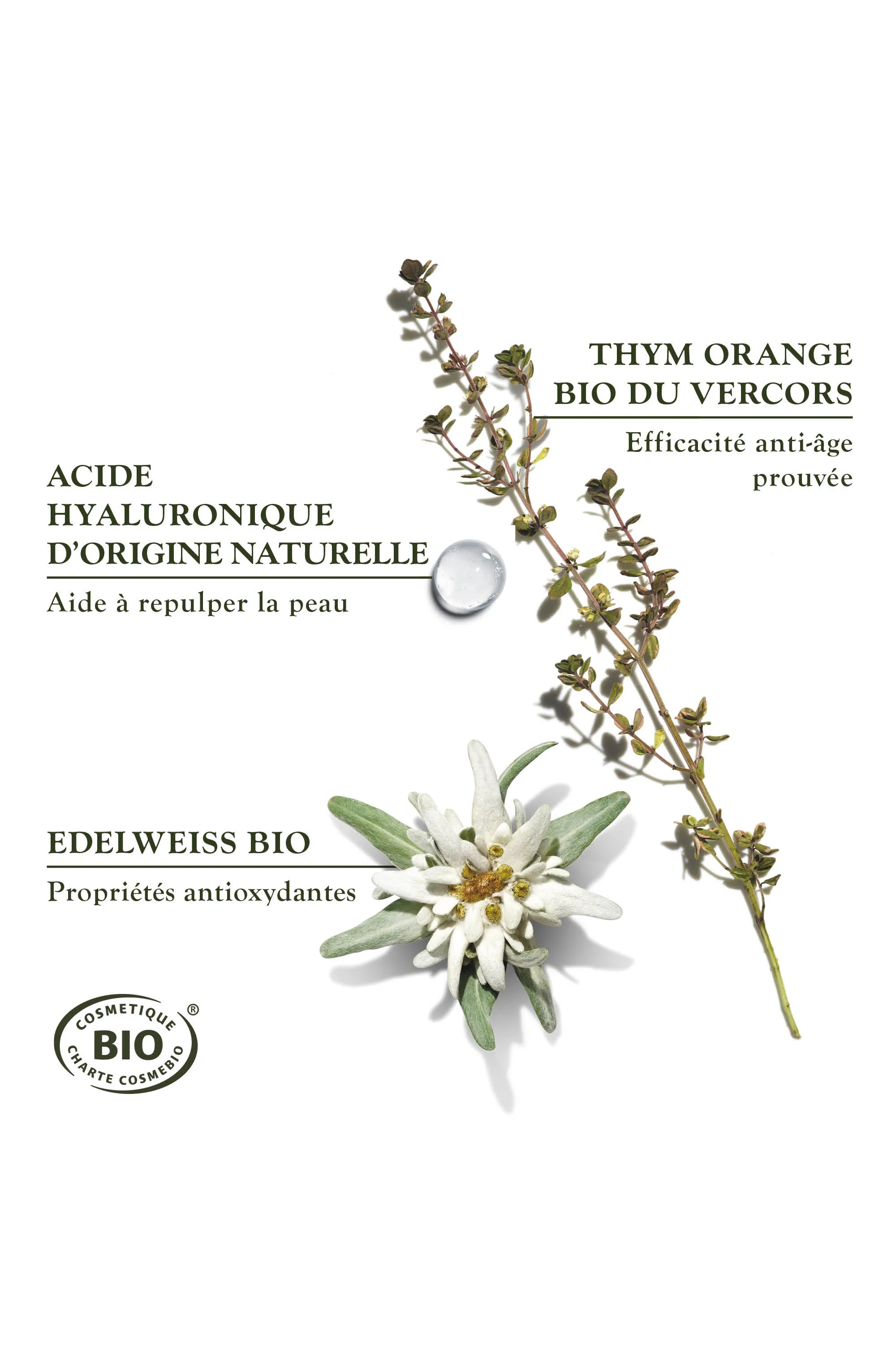 Sanoflore Crème de jour anti-âge légère des Reines-40 ml