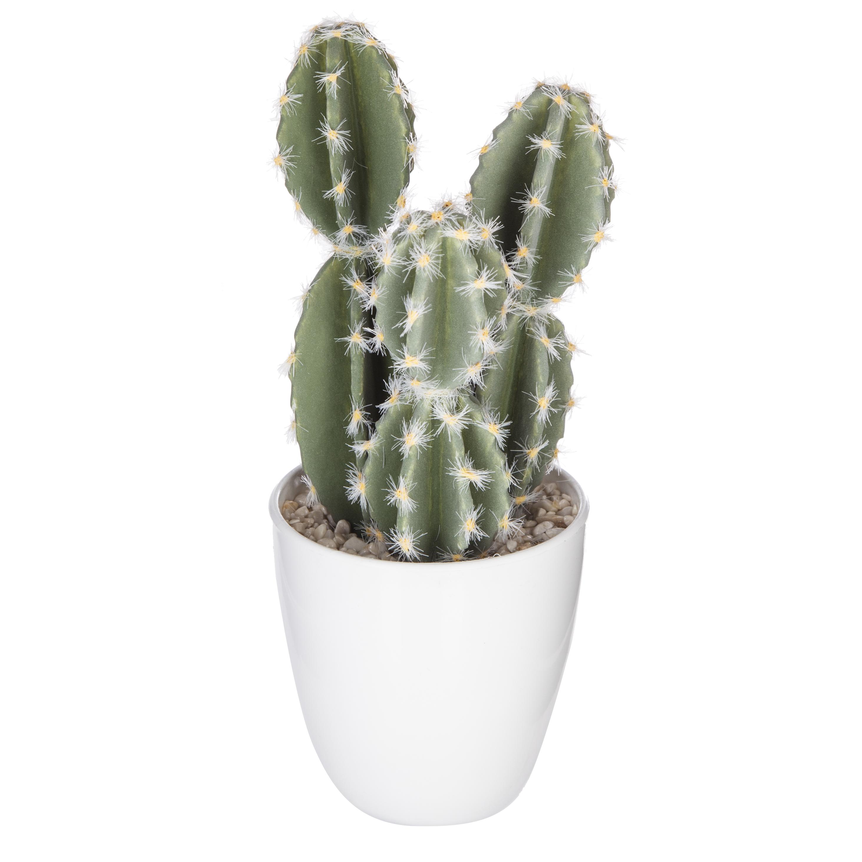 SUCCULENTE CACTUS H.18CM