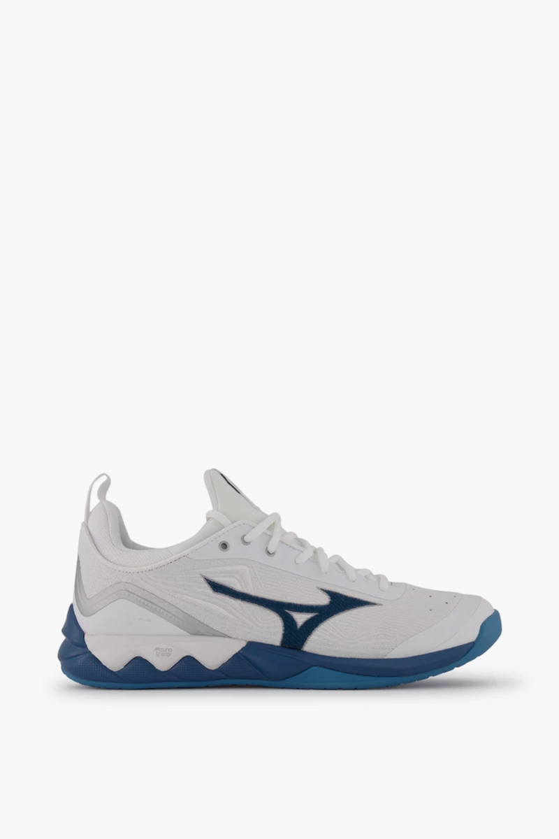 Mizuno Wave Luminous 2 Herren Hallenschuh