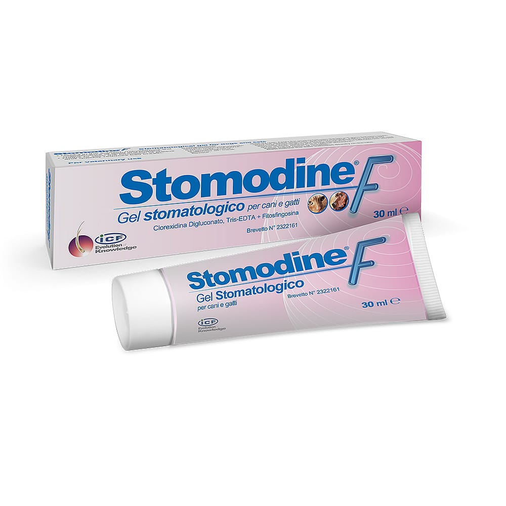 Stomodine F Mond Gel Hond Kat 30 ml | 12964