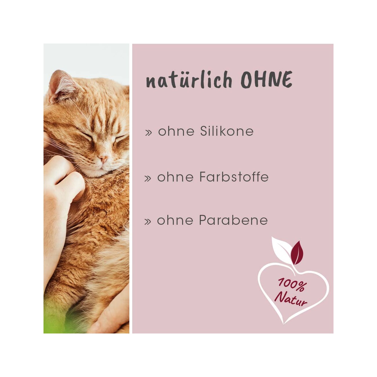 cdVet feliTATZ AbwehrKonzentrat