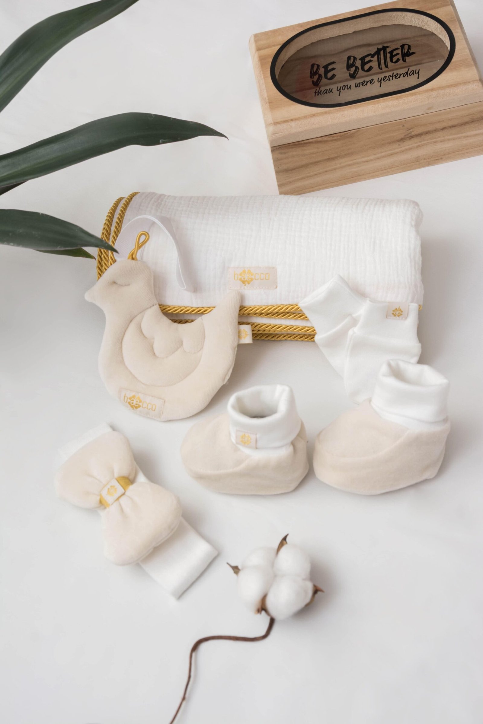 Pacifier Clip Toy | Organic, Safe, and hypoallergenic