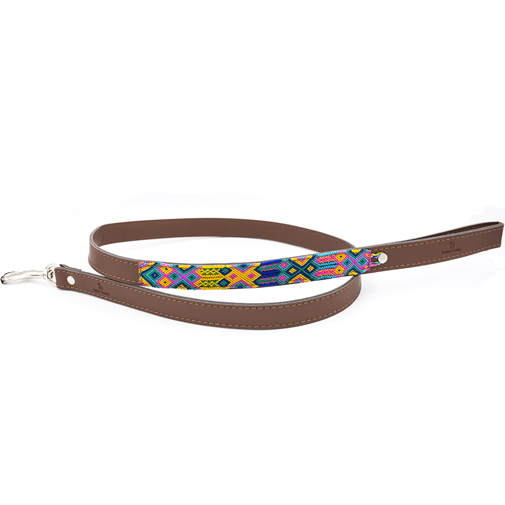 Guia Charro para Cães, Multicolorida