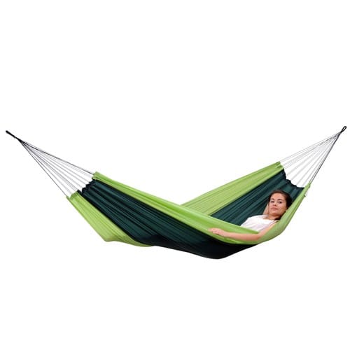 Silk traveller forest