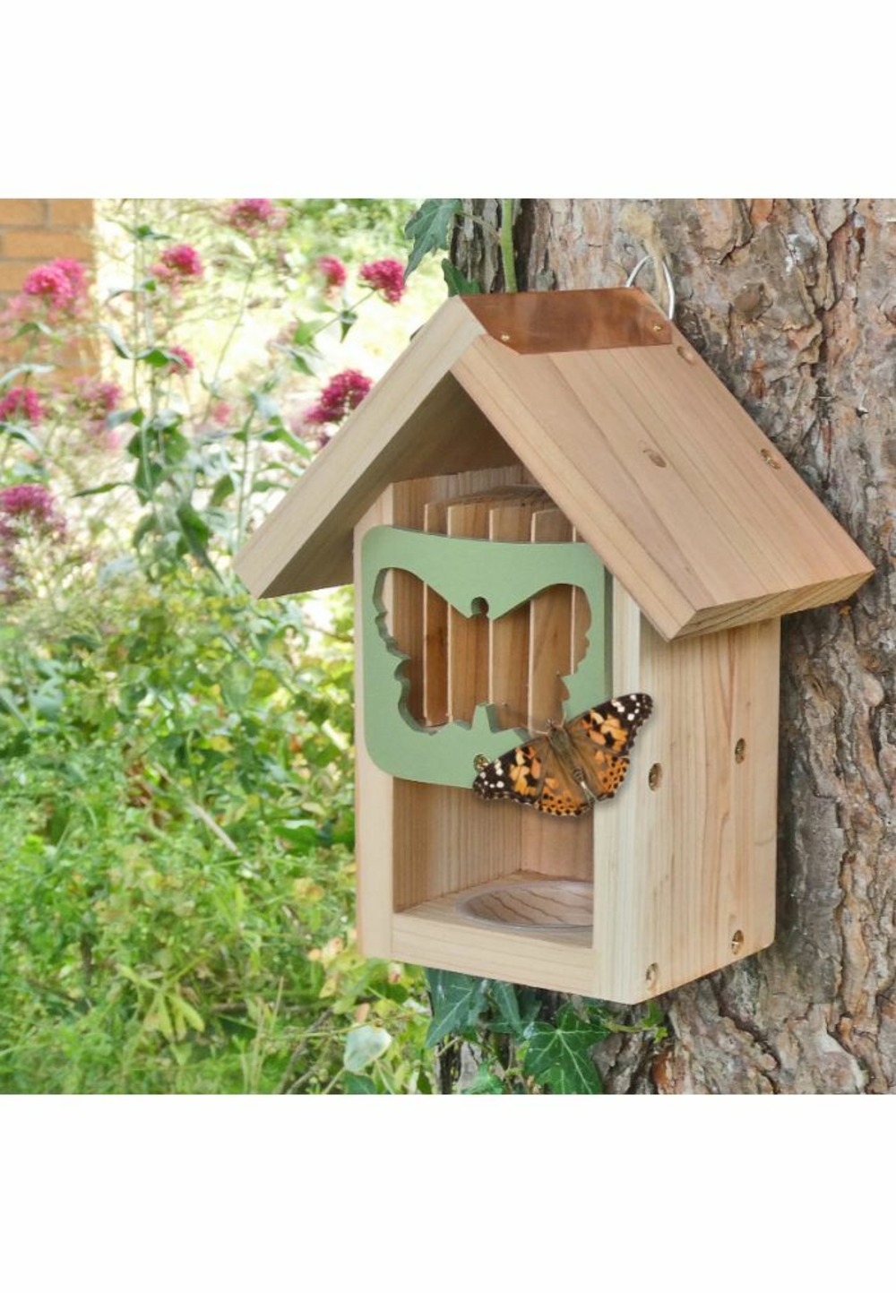 Mangeoire à papillons (avec nectar)