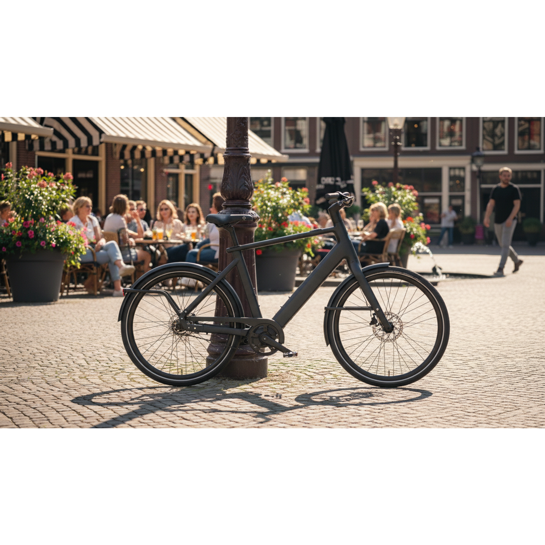 Gazelle Cayo C1 2026