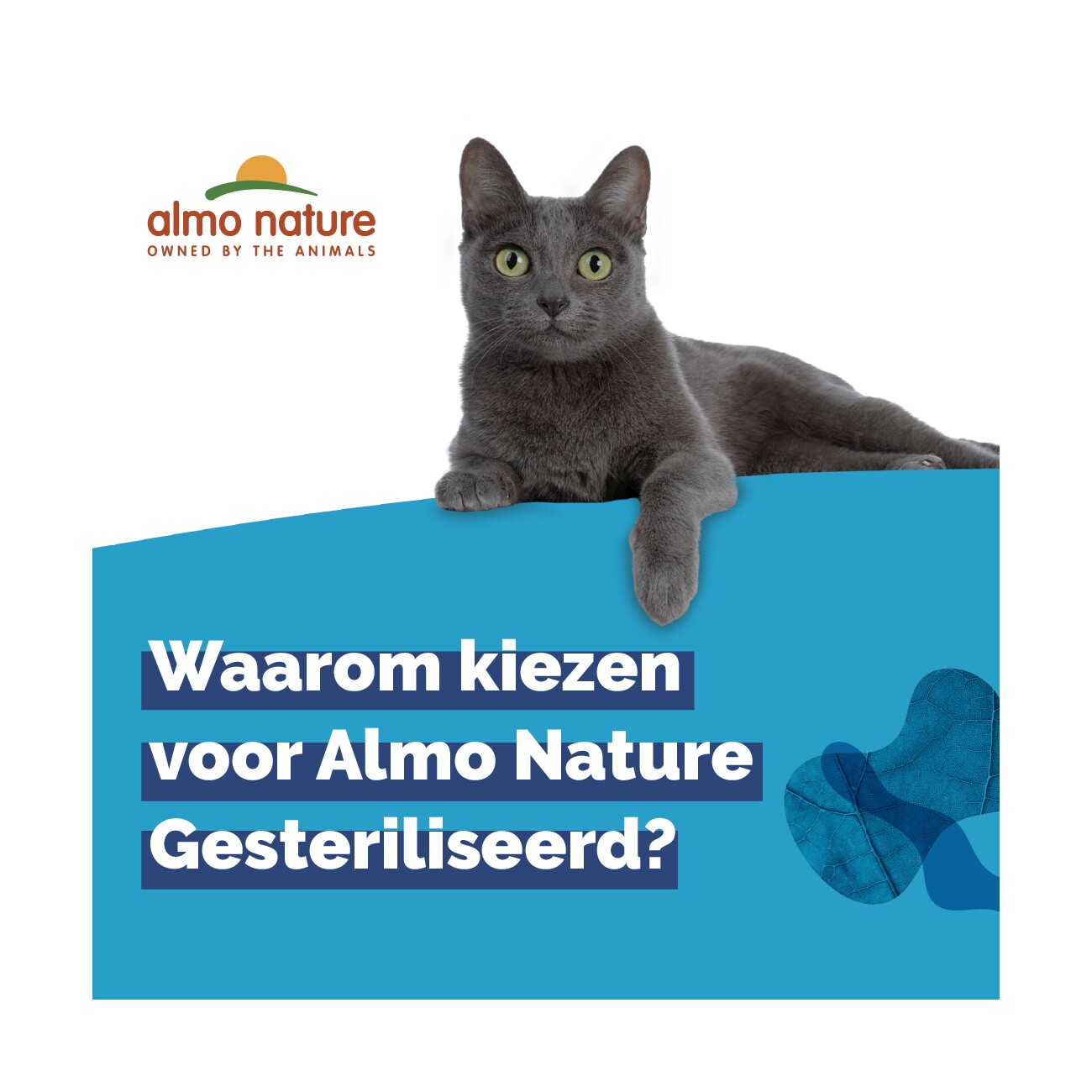 Almo nature Sterilised 30x70 g Huhn