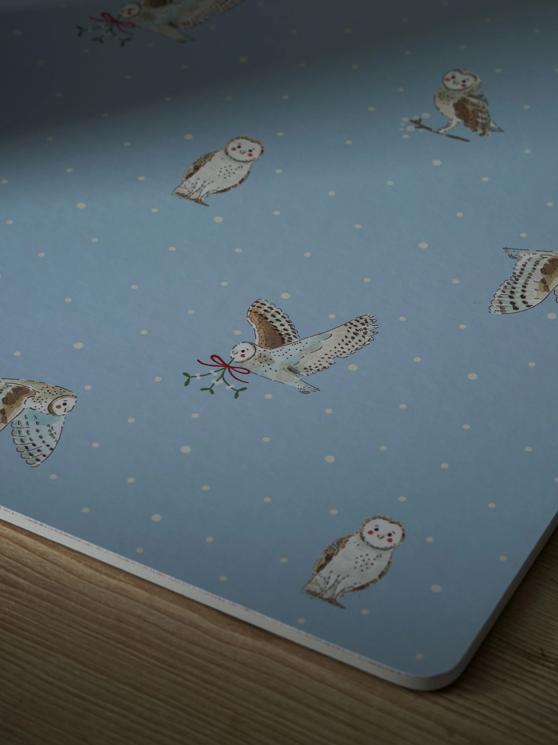 Sophie Allport Set of 2 Extra Large Snowy Owls Placemats