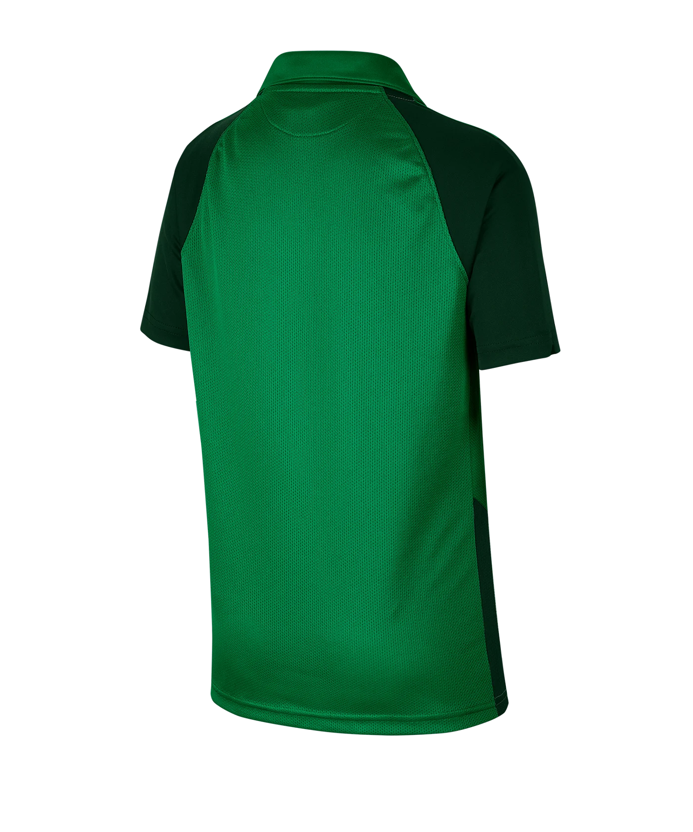 Nike Trophy IV Trikot kurzarm Kids Grün F302