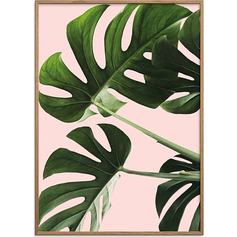 Monsteras in pink - 30x40 cm