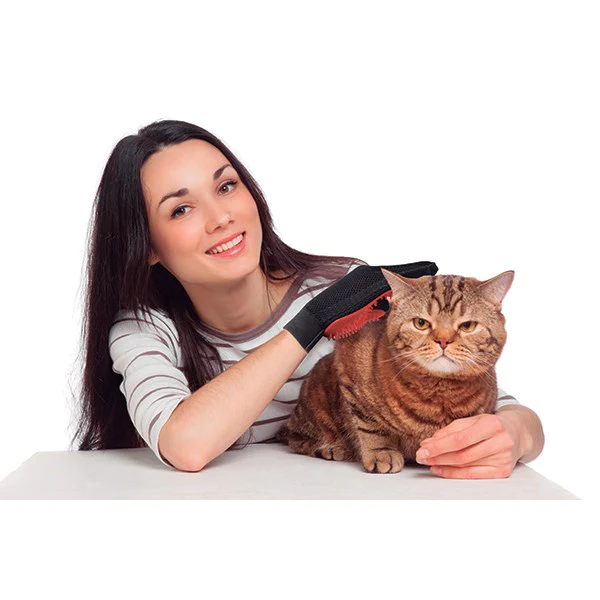 Gant de brossage pour animaux