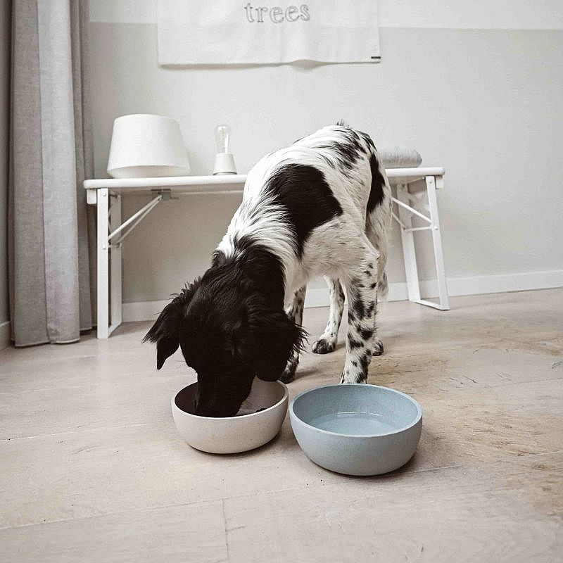 District 70 BAMBOO Stijlvolle Voerbak Hond | M | Merengue | 15211.5