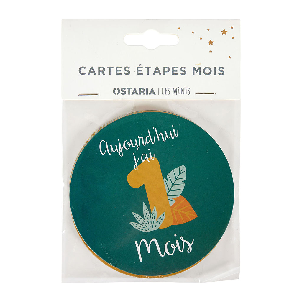 Cartes étapes mois enfant D 10cm