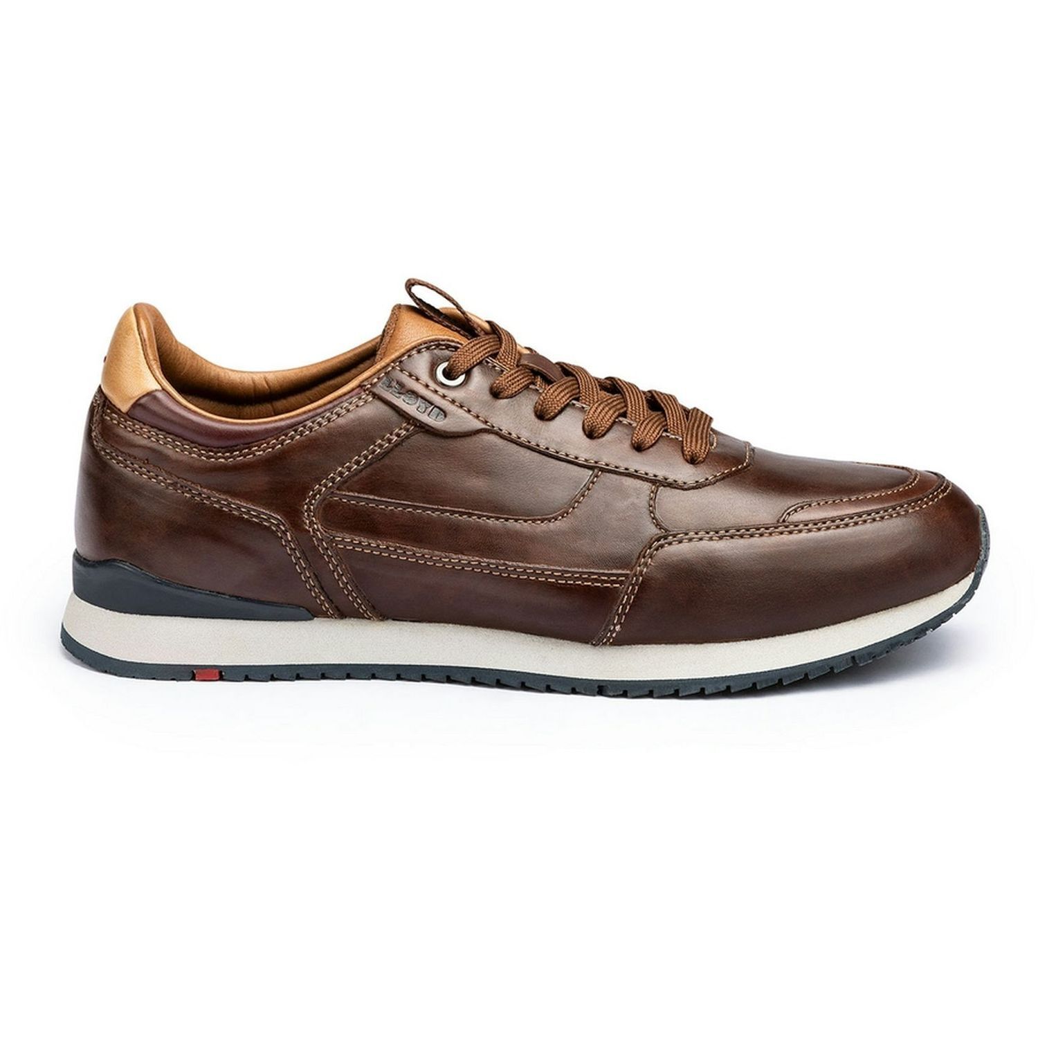 Lloyd24-903 Editta