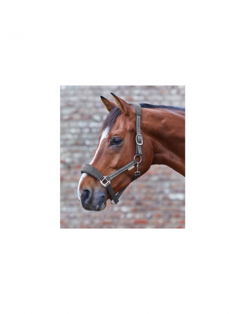 Waldhausen Halster Alcantara Zwart - Paardenhalster