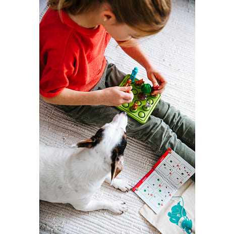 Smartgames Gå tur med hunden