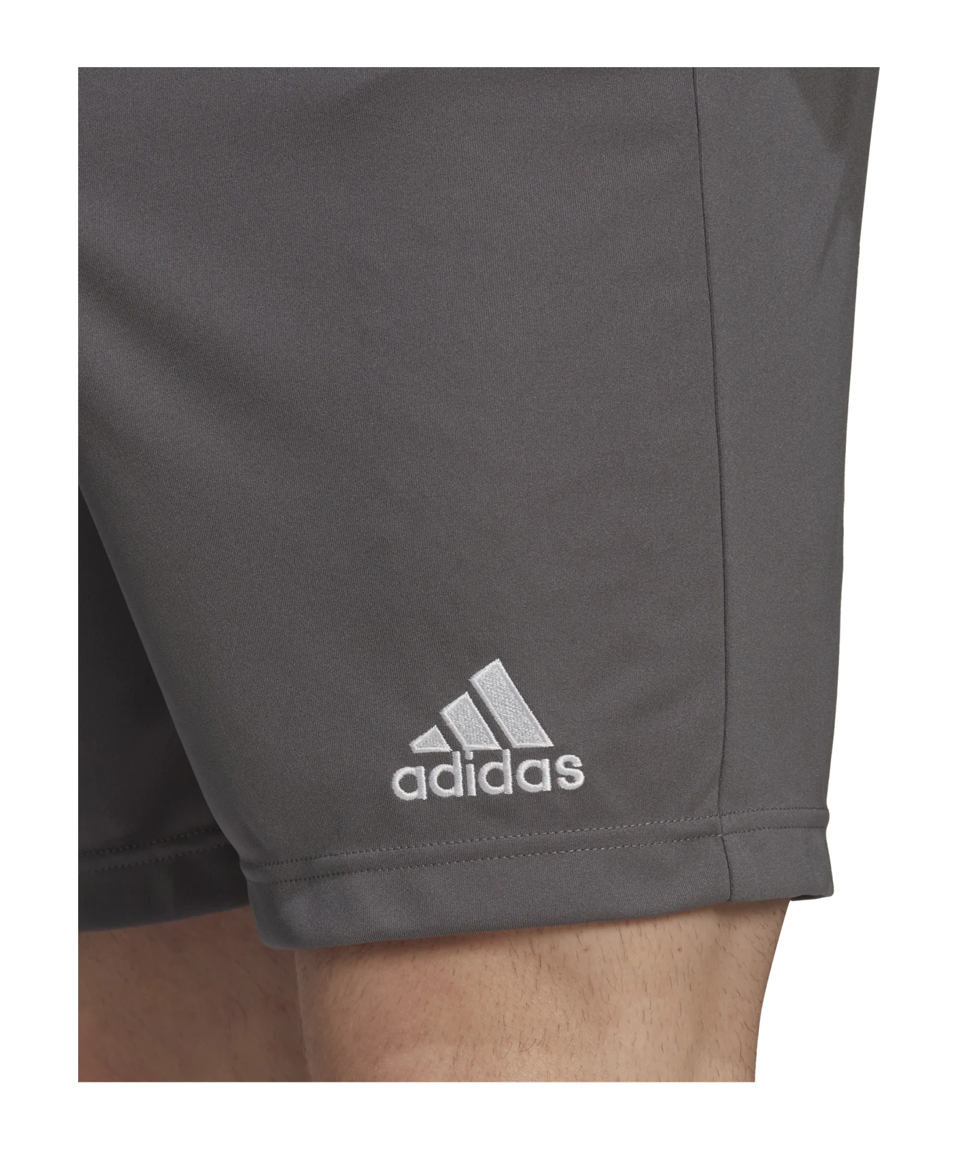adidas Entrada 22 Short Grau