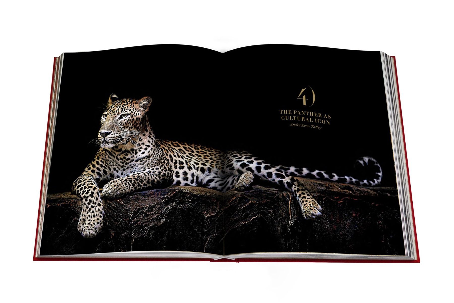 Assouline Cartier Panthère
