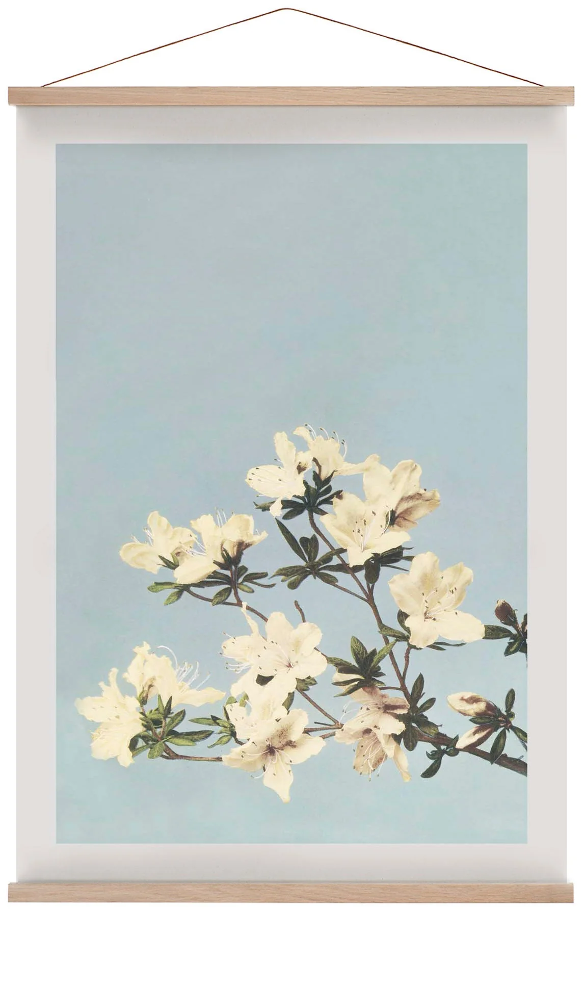 Japanische Azaleen von Ogawa Kazumasa