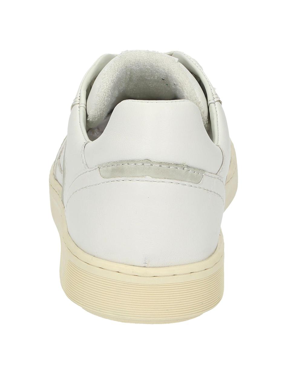 Sneaker Tedroso-704