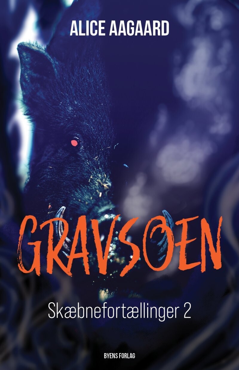 Gravsoen - Alice Aagaard - Bog