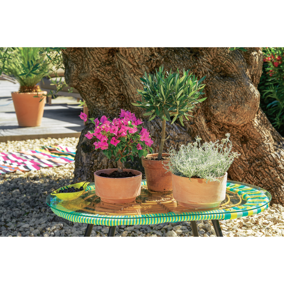Terrine en terre cuite D 18 x H. 11cm