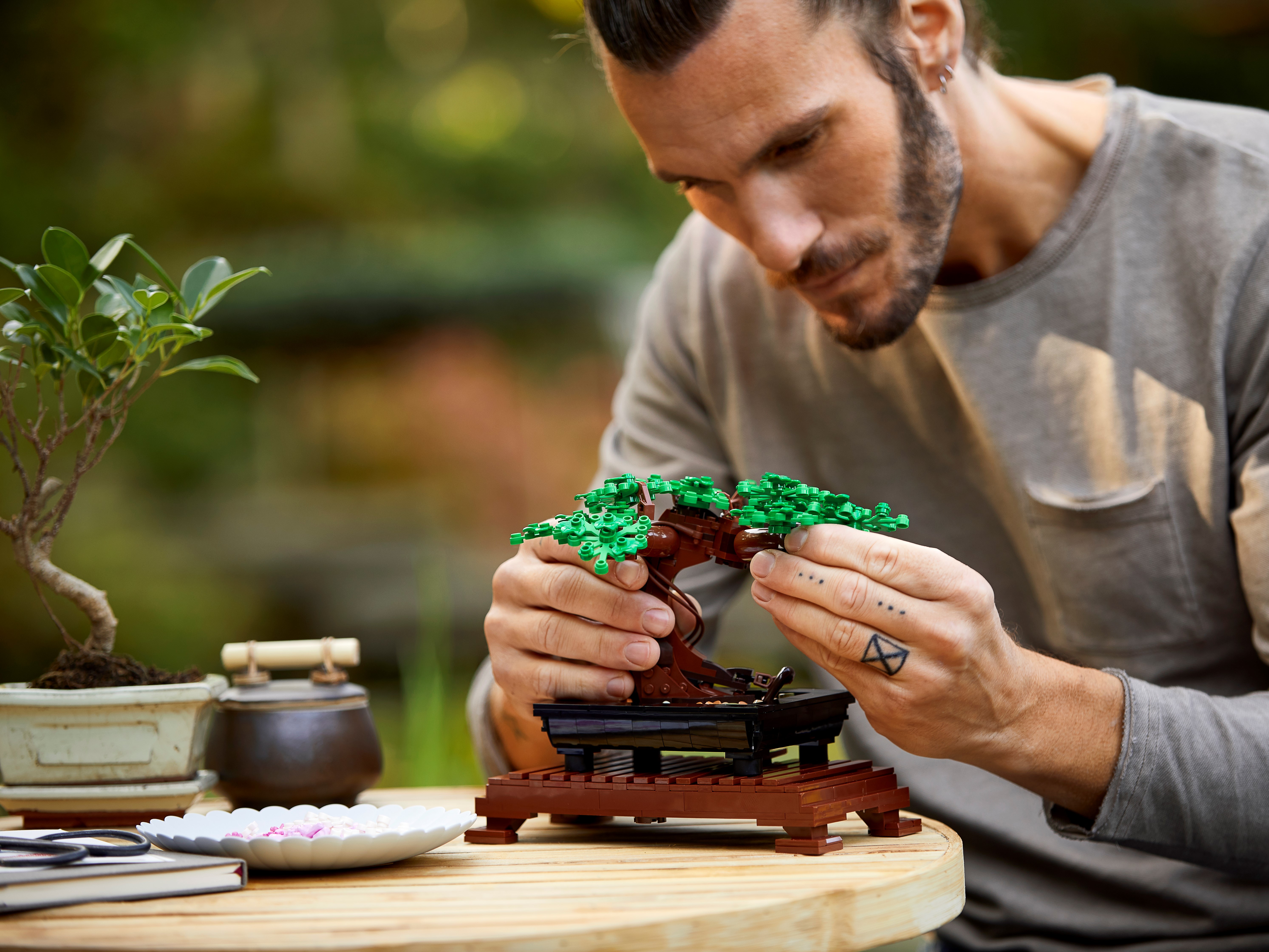 Bonsai 10281