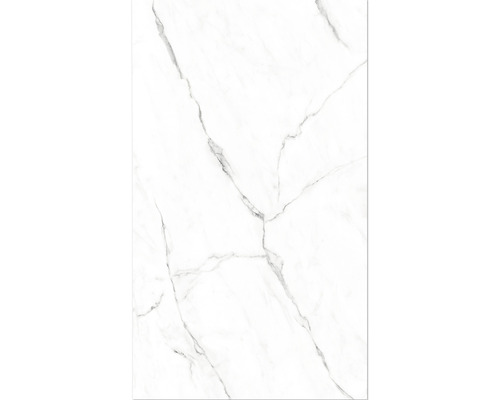 BREUER douchewandpaneel, marmer hoogglans, 2550 x 1500 mm, 9482549000099
