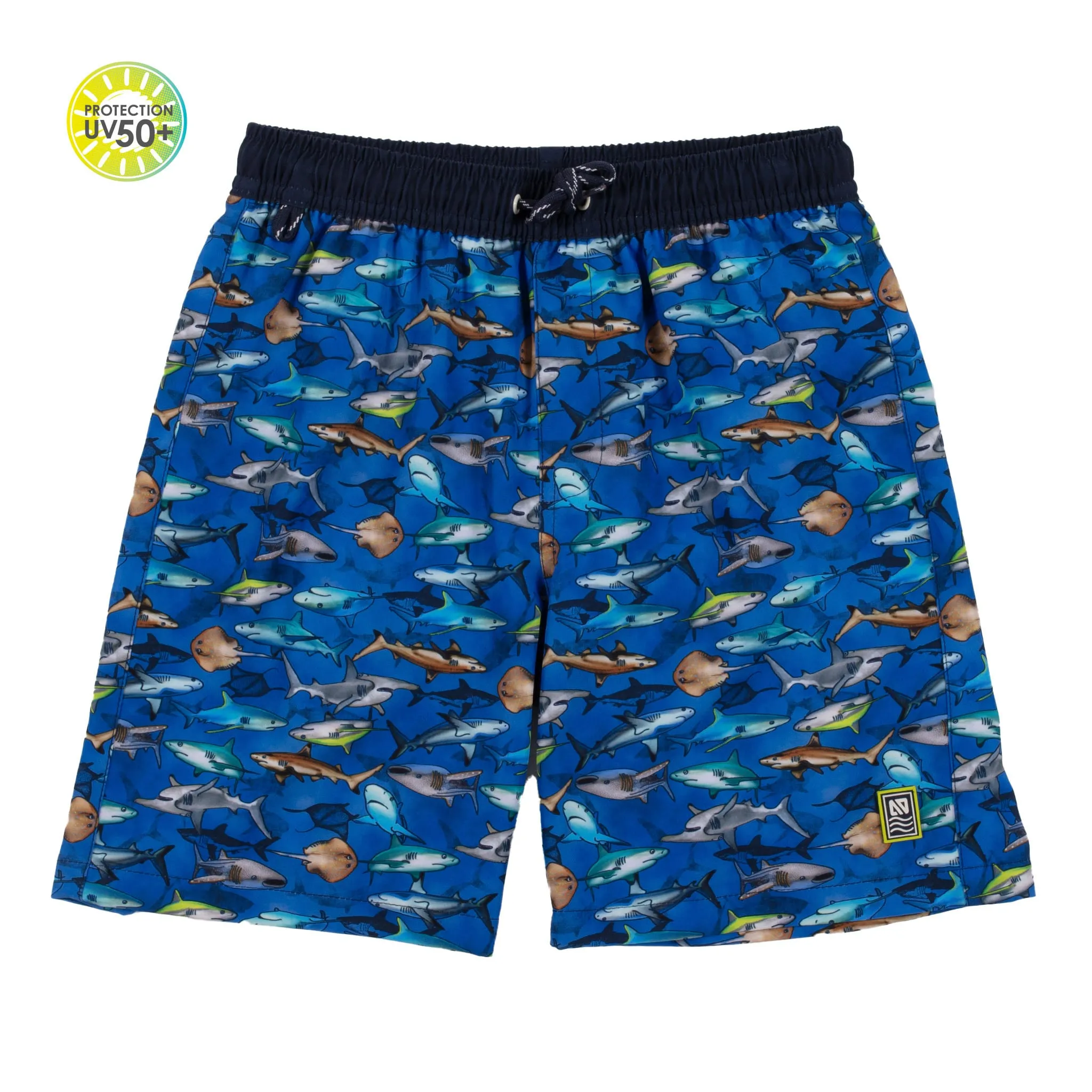 Nanö Maillot Short Requin 12-24m