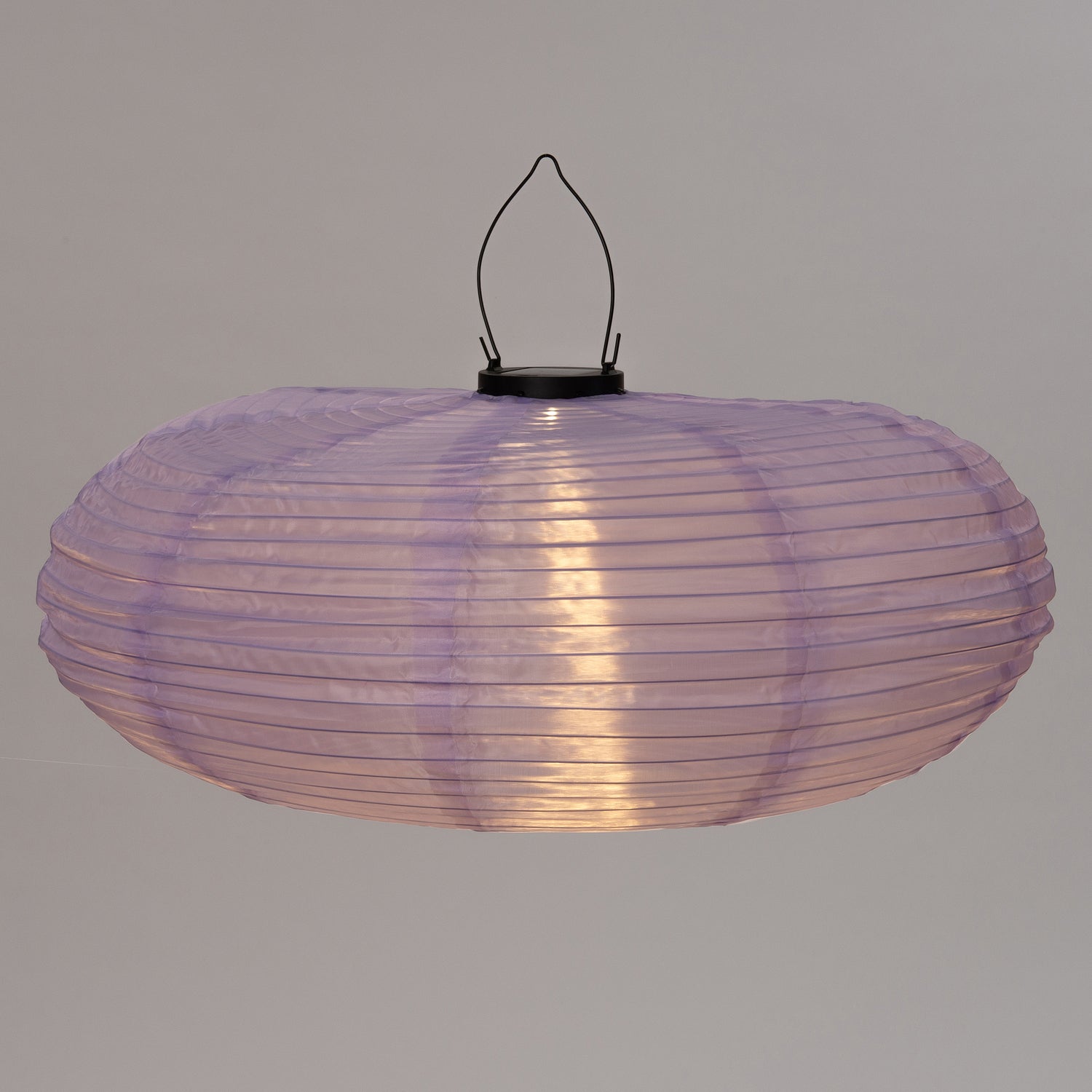 Intratuin solar lampion paars D 50 H 48 cm