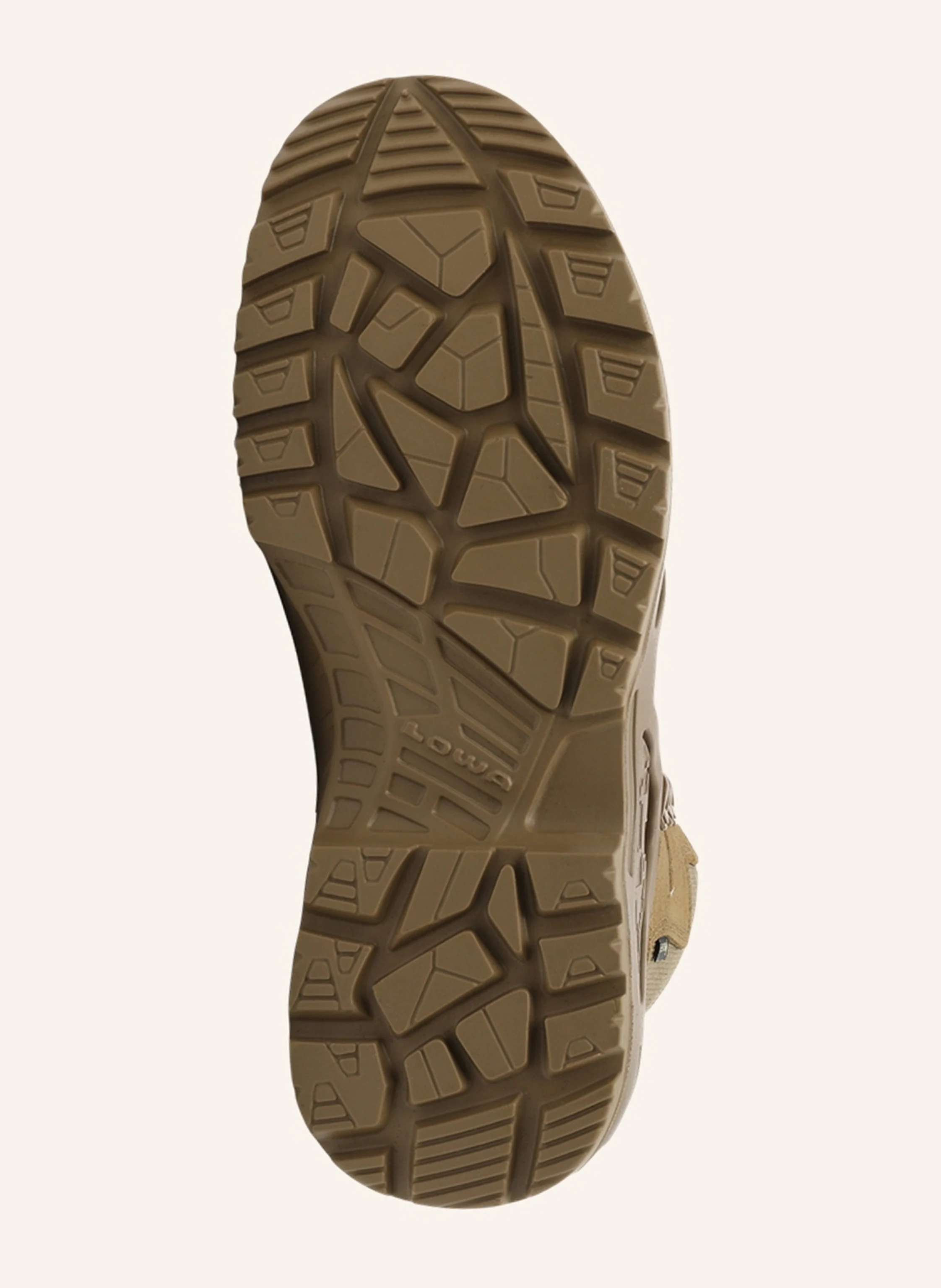 LOWA PROFESSIONAL Outdoor-Schuhe Z-8S GTX C