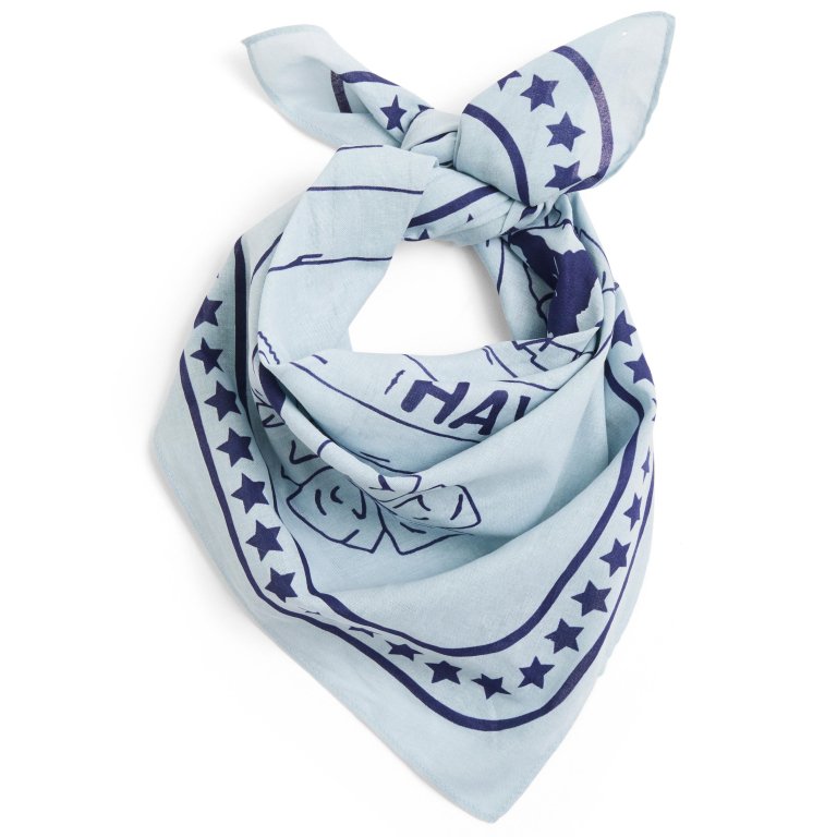 Hay Dogs hondensjaal gerecycled 55x55 Light Blue