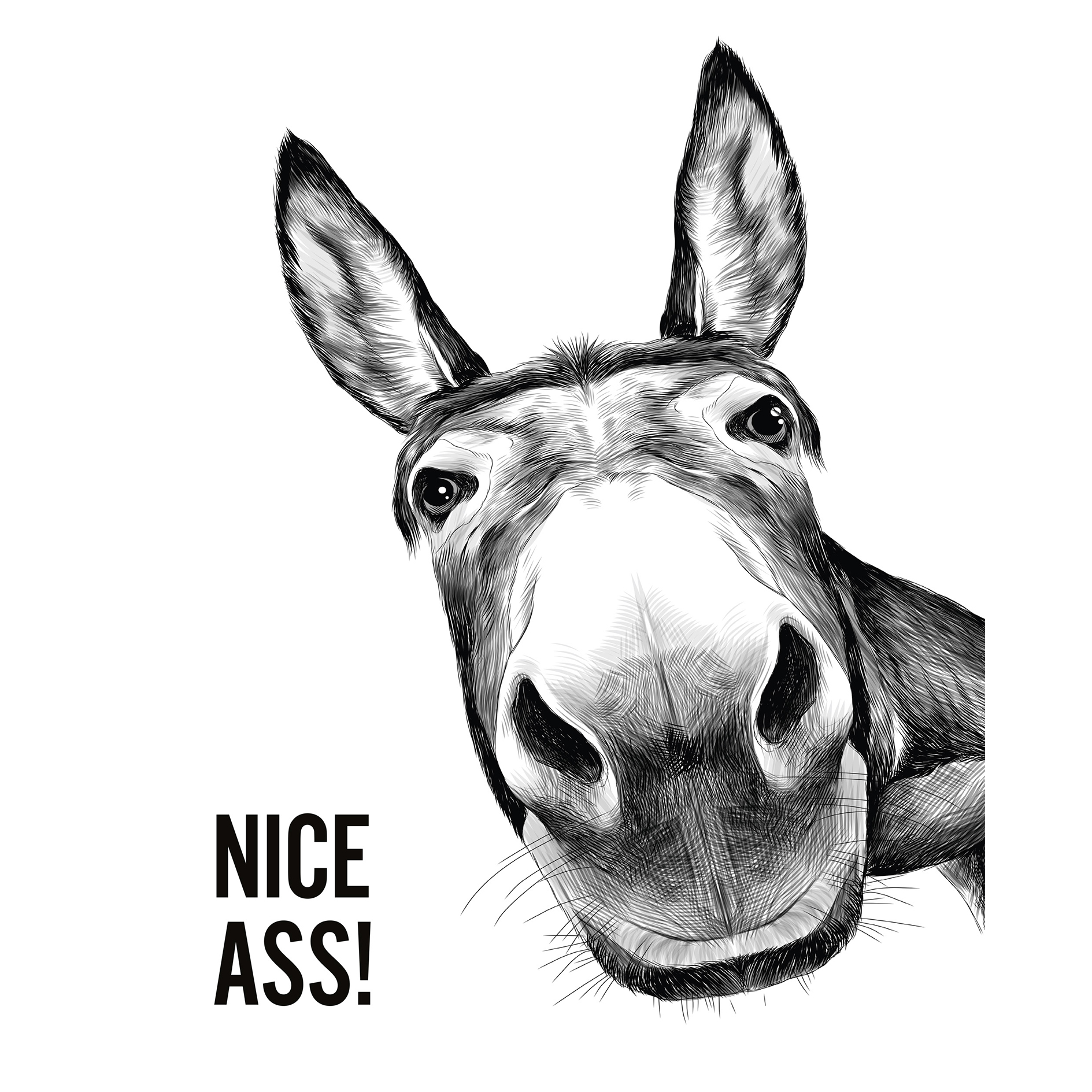 Gerahmtes Bild NICE ASS - 40x50 cm