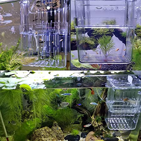 (11x8cm) Aquarium Brut Kasten Fisch Zucht Ablaich Becken mit Saugnäpfe - Transparent