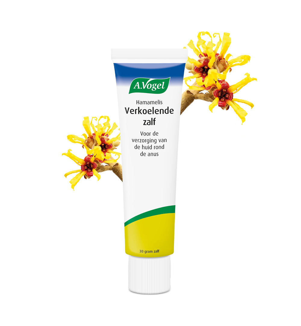 A.Vogel Hamameliszalf verkoelende zalf (30 gr)