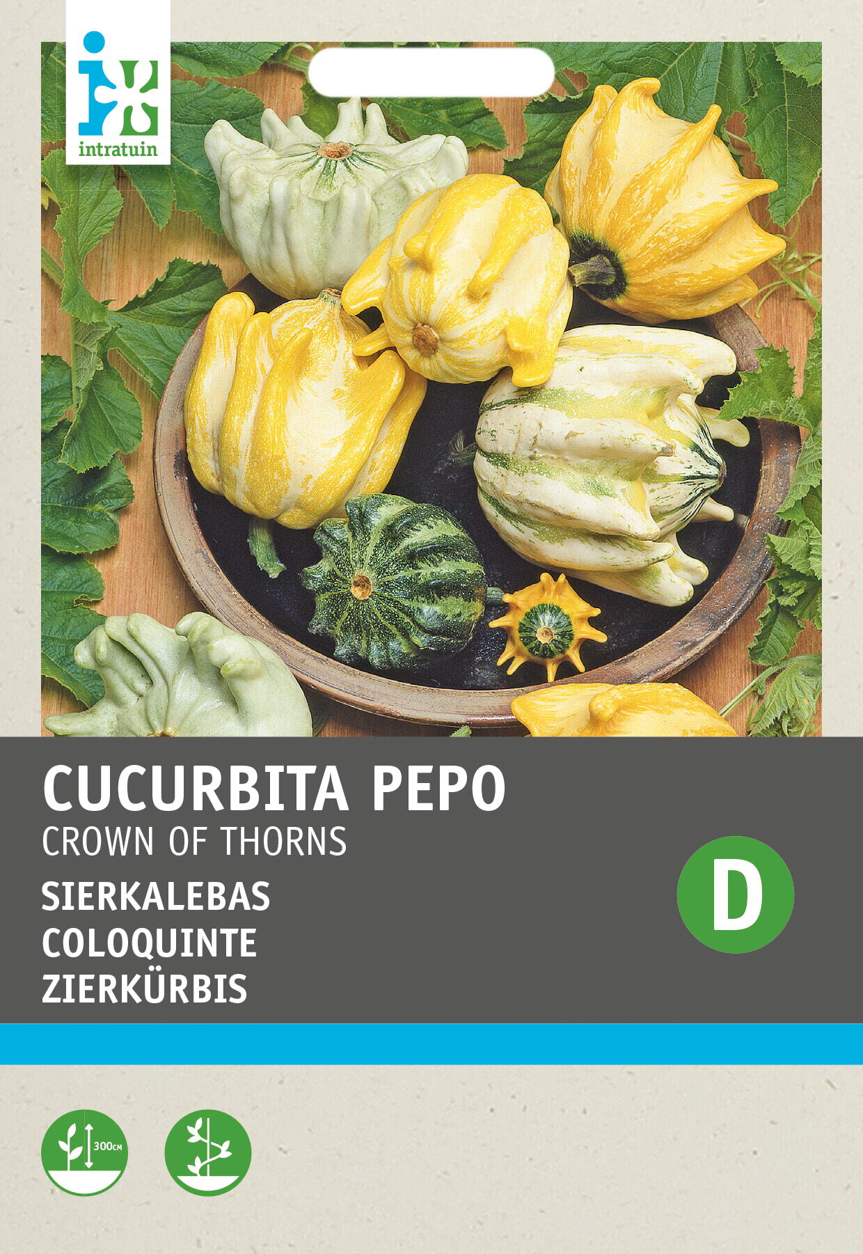 Intratuin groentezaad Sierkalebas (Cucurbita 'Crown of Thorns')