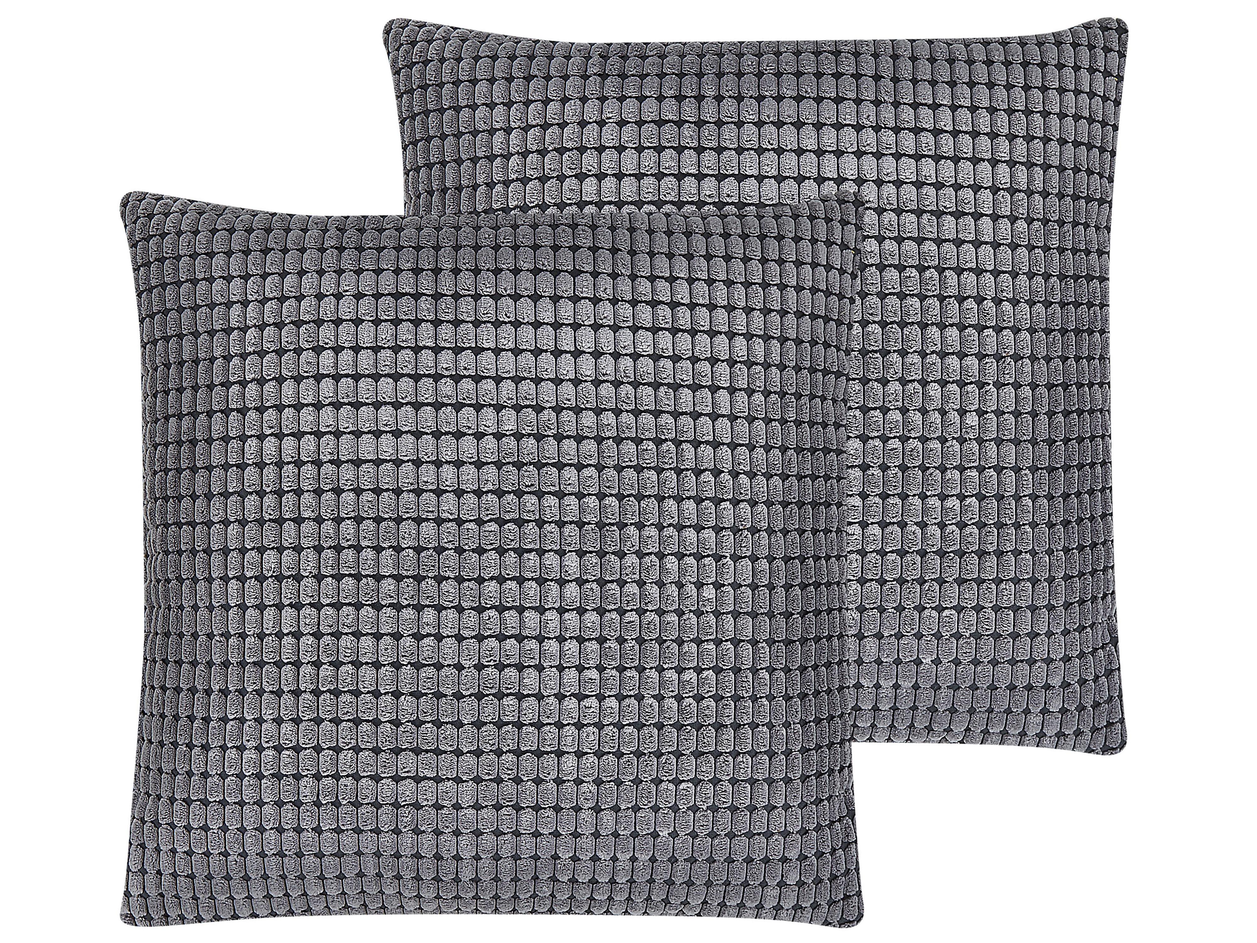 Set van 2 sierkussens ASPIDISTRA Fluweel 45 x 45 cm Grijs geometrisch patroon