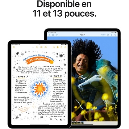 iPad Apple iPad Air 11'' Puce Apple M2 1 To Wifi 6eme generation 2024 Bleu