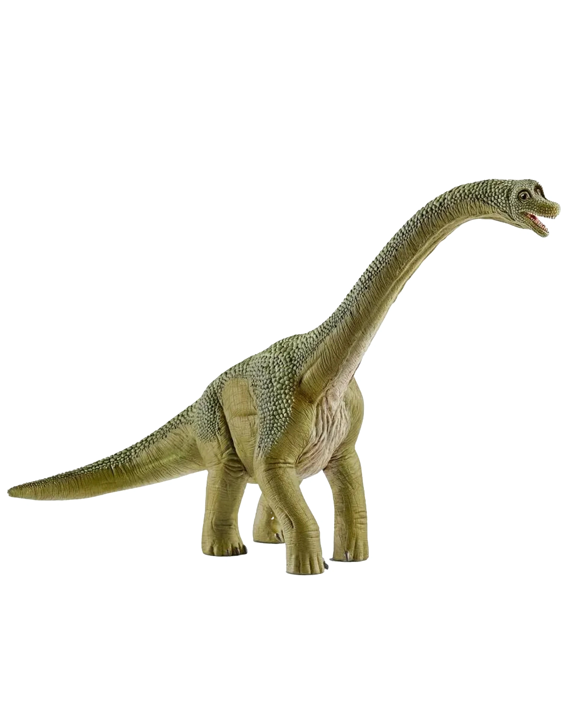 schleich® 14581 Dinosaurs – Brachiosaurus