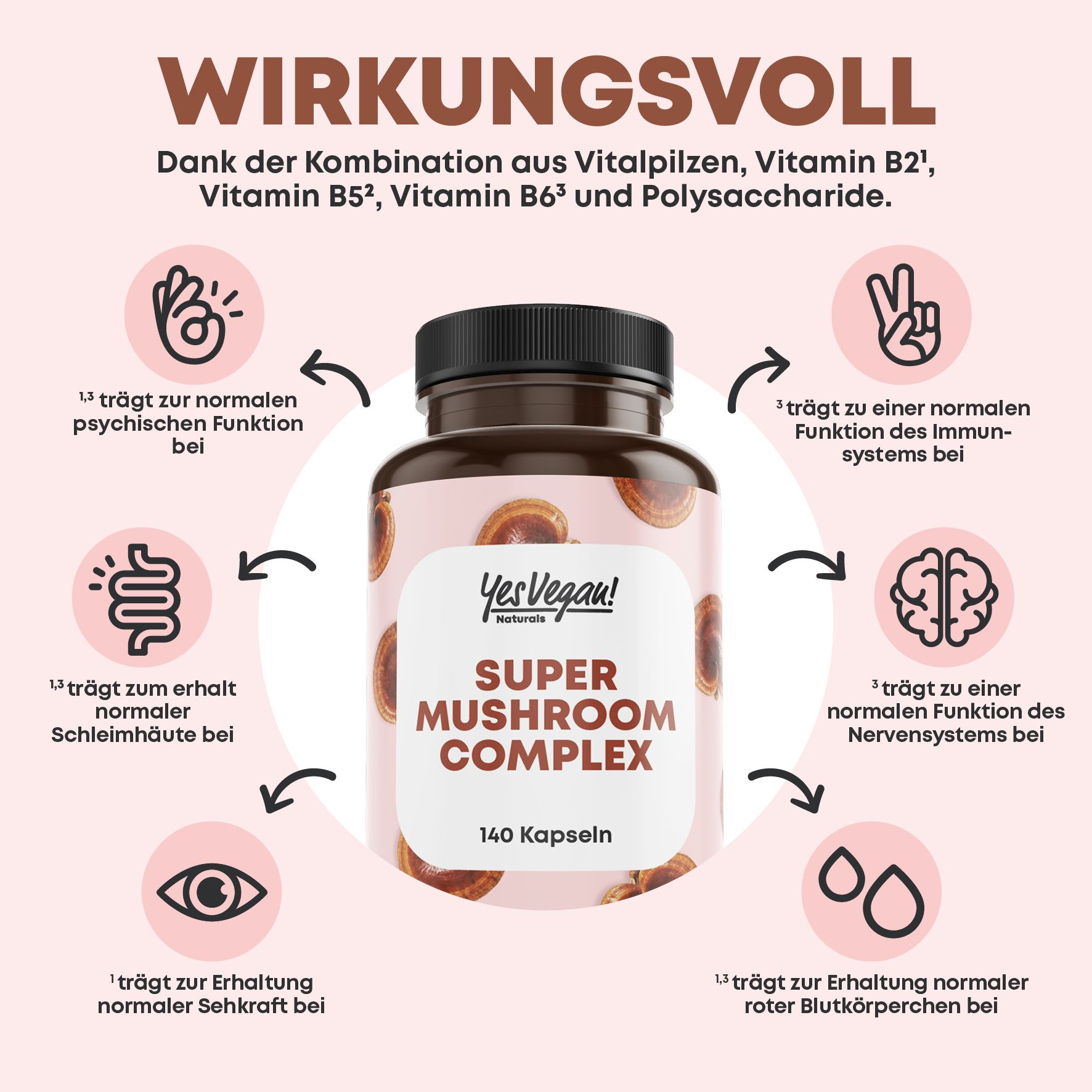 Pilz Komplex mit B2 B5 B6 mit 7 Pilzen Lions mane, Reishi Pilz, Cordyseps, Chaga, PREMIUM