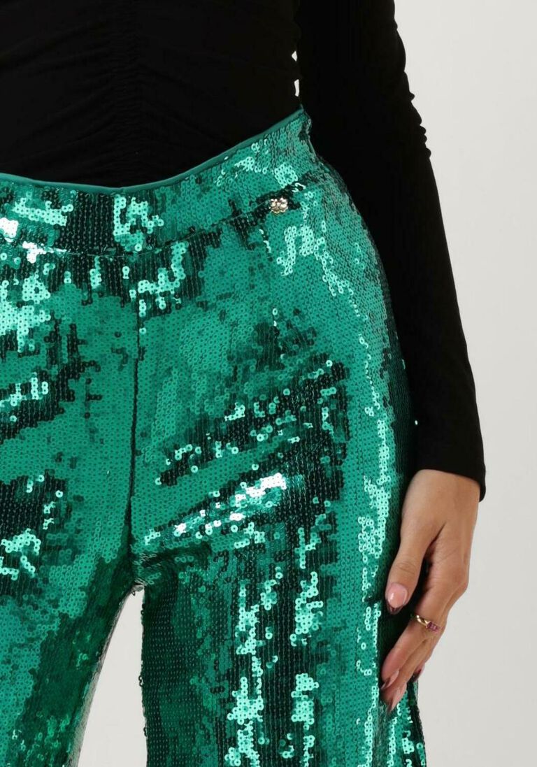 HARPER & YVE groene harper & yve pantalon pixie-pa