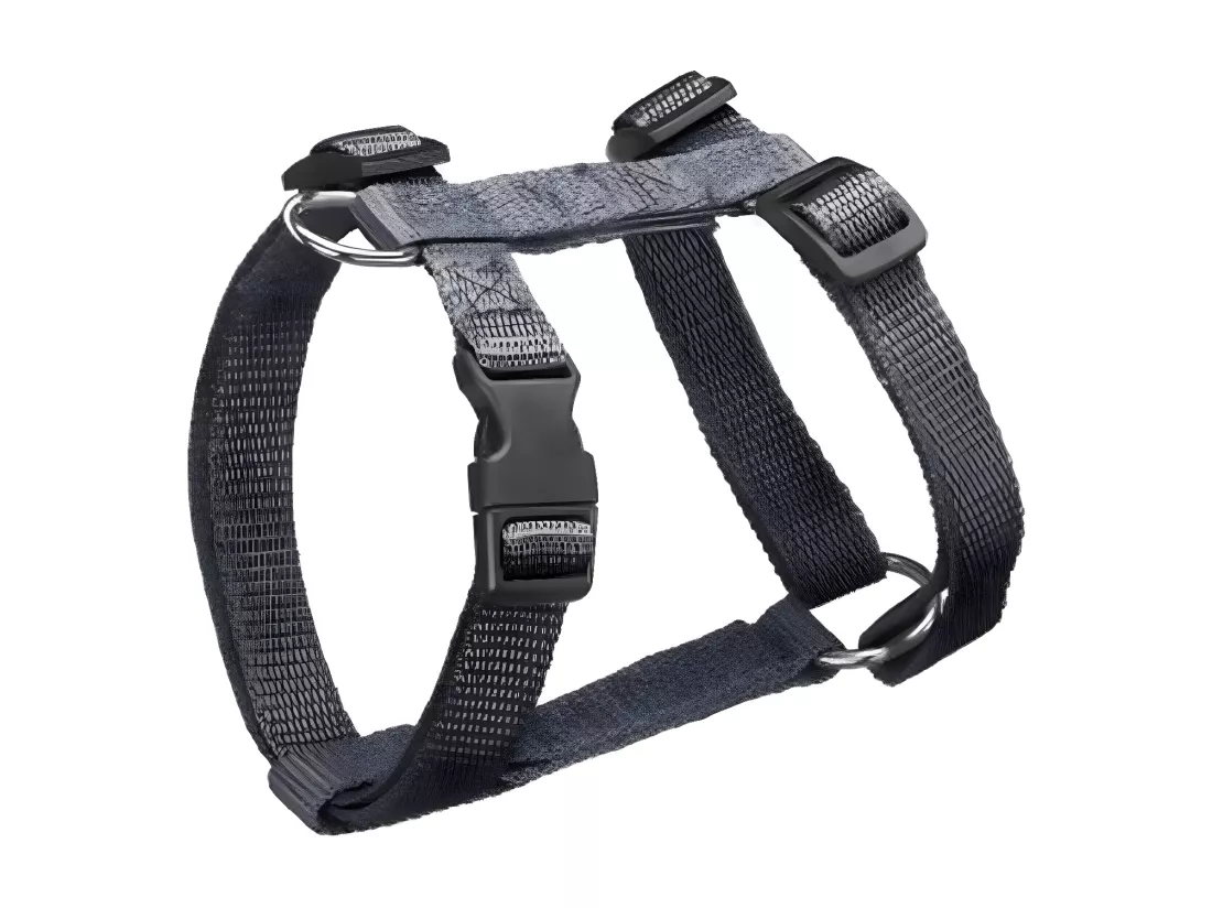 Harnais pour Chien 