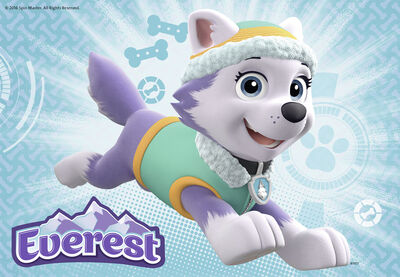 Ravensburger Paw Patrol Puslespill Skye & Everest 2x24 Brikker