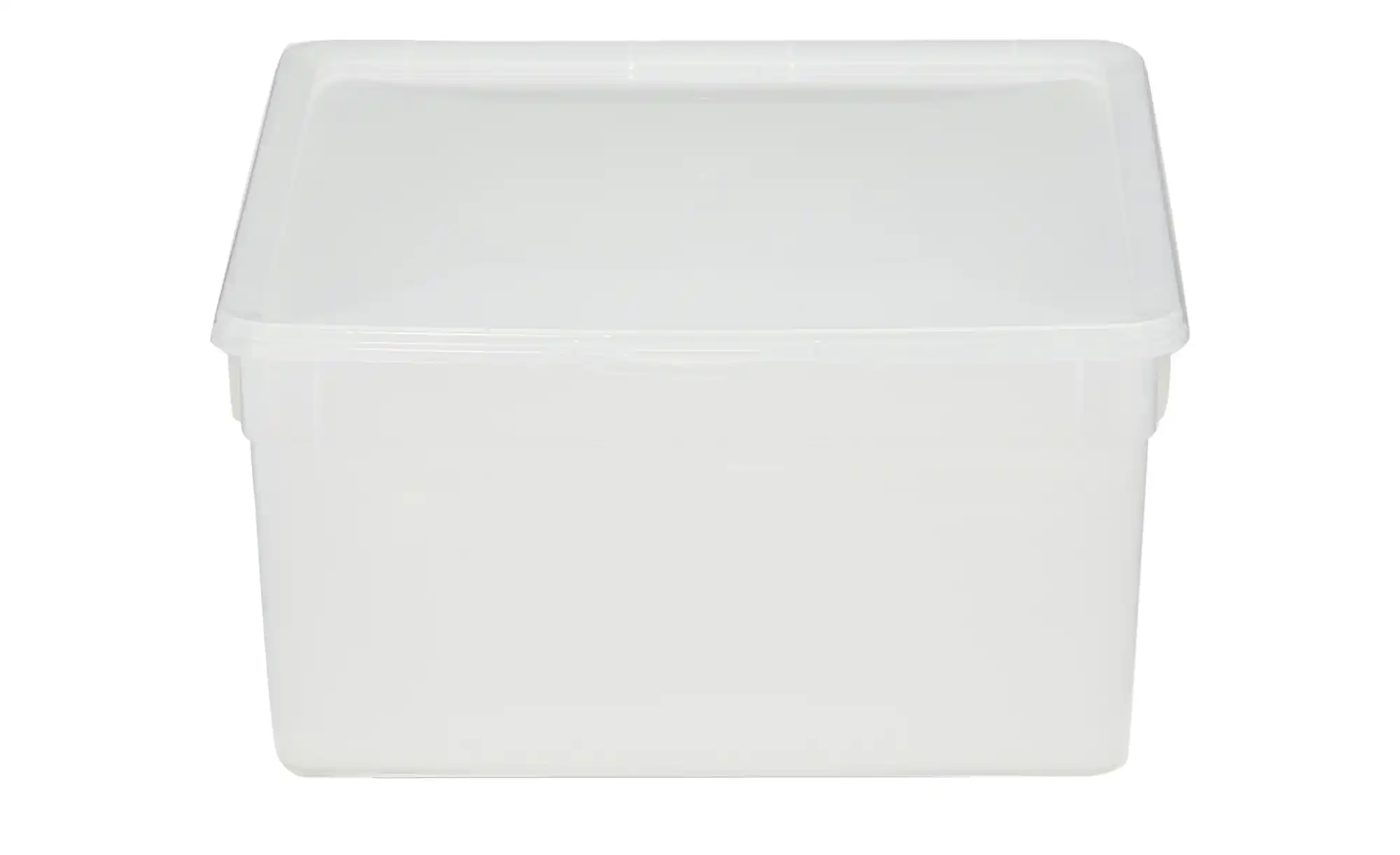 Rotho Aufbewahrungsbox, 2er Set