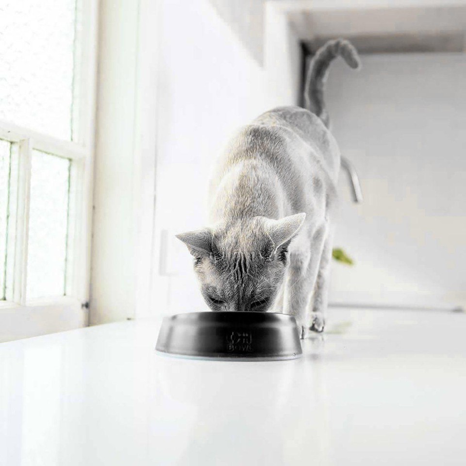 LICKIMAT - KatteskålOral Hygiene Bowl Black Ø15X4,6Cm