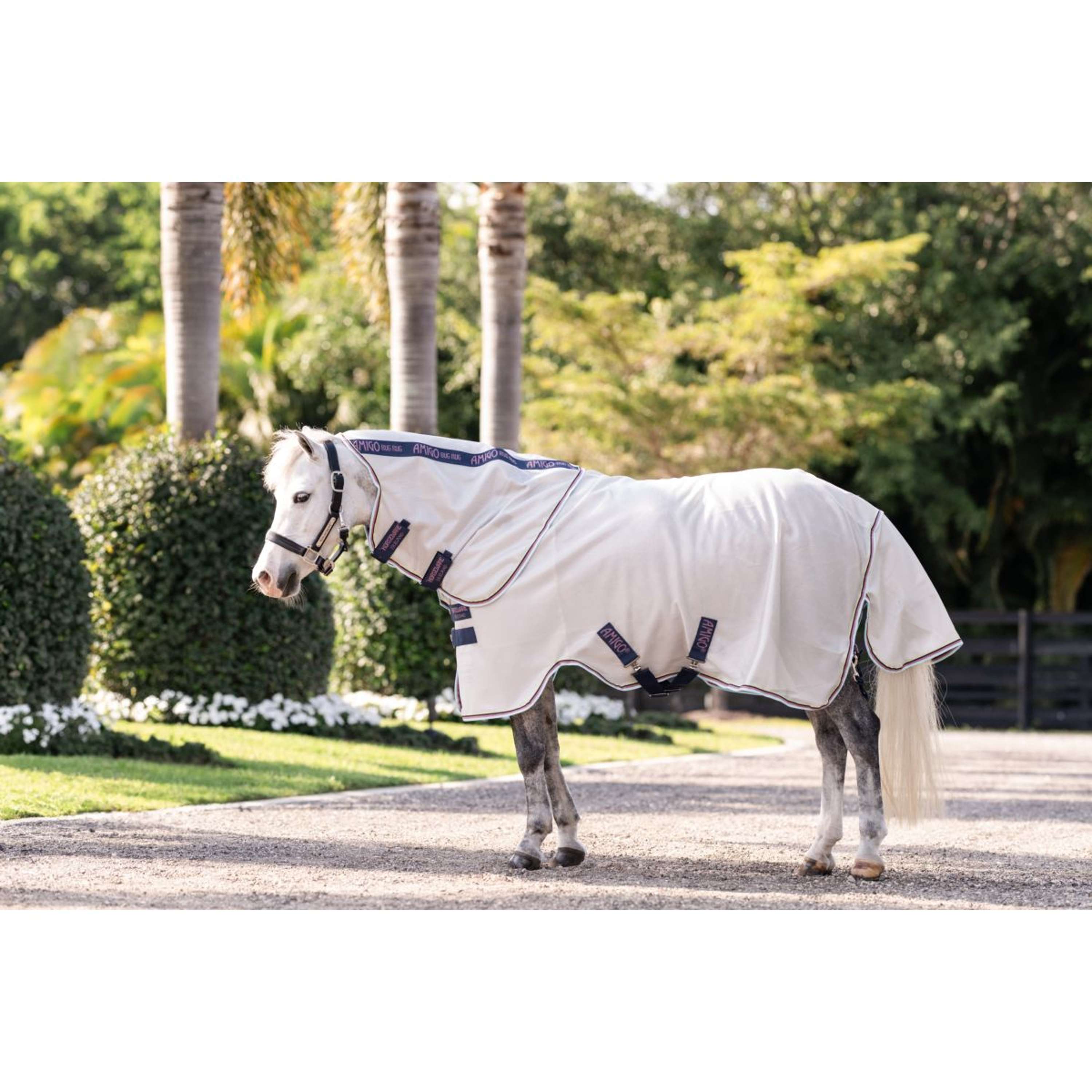 Amigo Bug Rug Plus Pony Silver/Lime/Navy/Pink/Blue